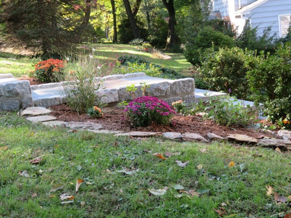 Backyard stone steps