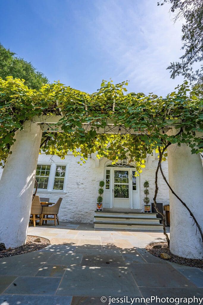 sitting wall covered in vines